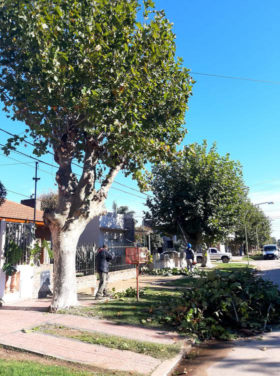 184699744_4272111386140608_8466445846980774058_n