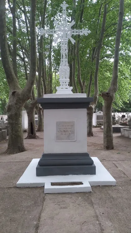 WhatsApp Image 2024-10-23 at 7.41.21 AM