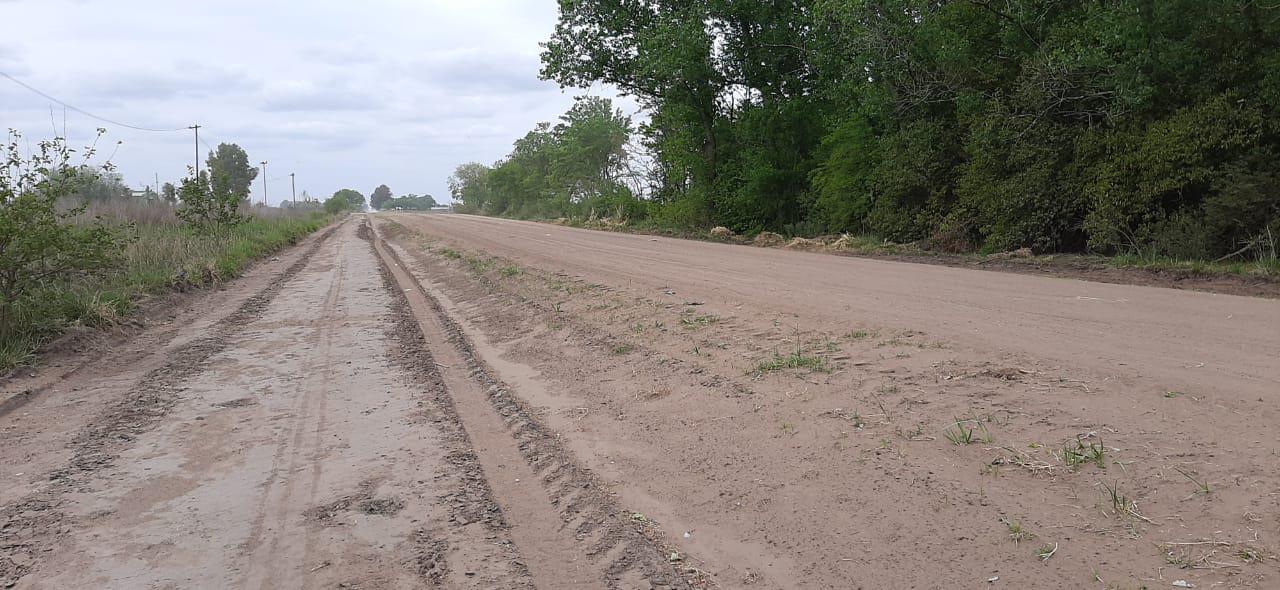 WhatsApp Image 2022-10-12 at 12.46.15