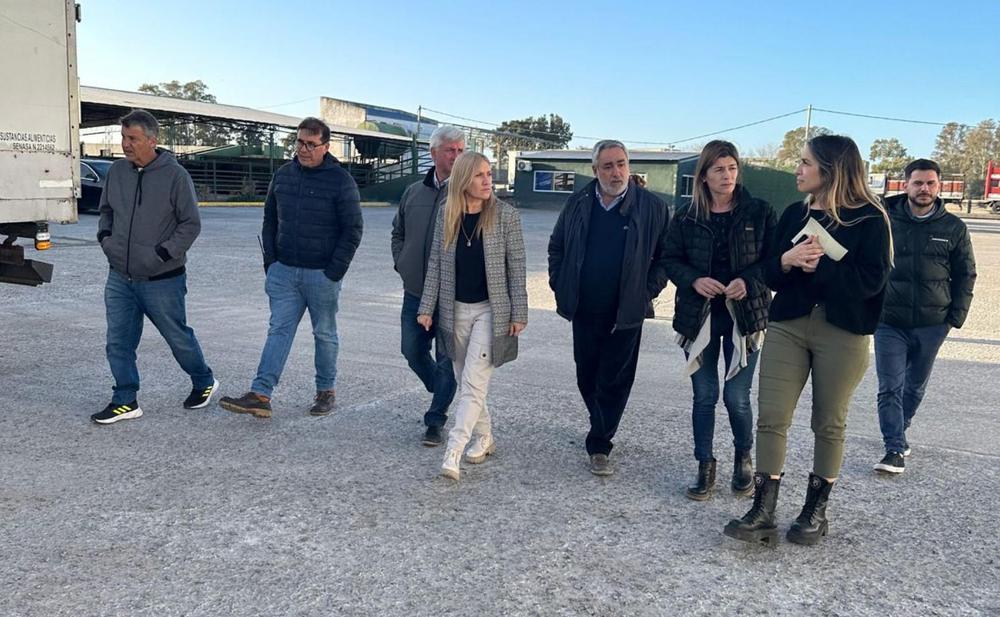 Captura de pantalla 2023-08-09 121539