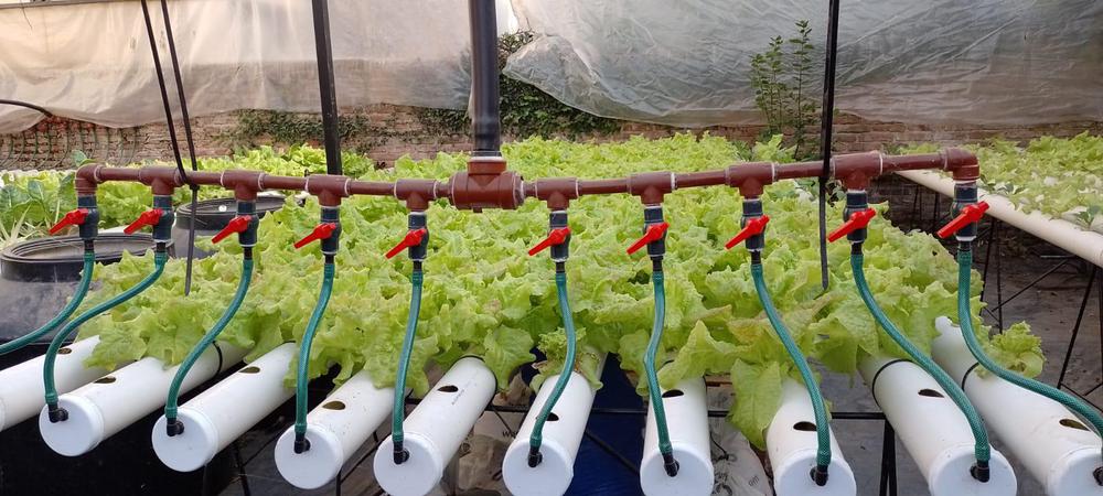 78ad666e-8300-4ec0-9dc4-cda10673a1a2