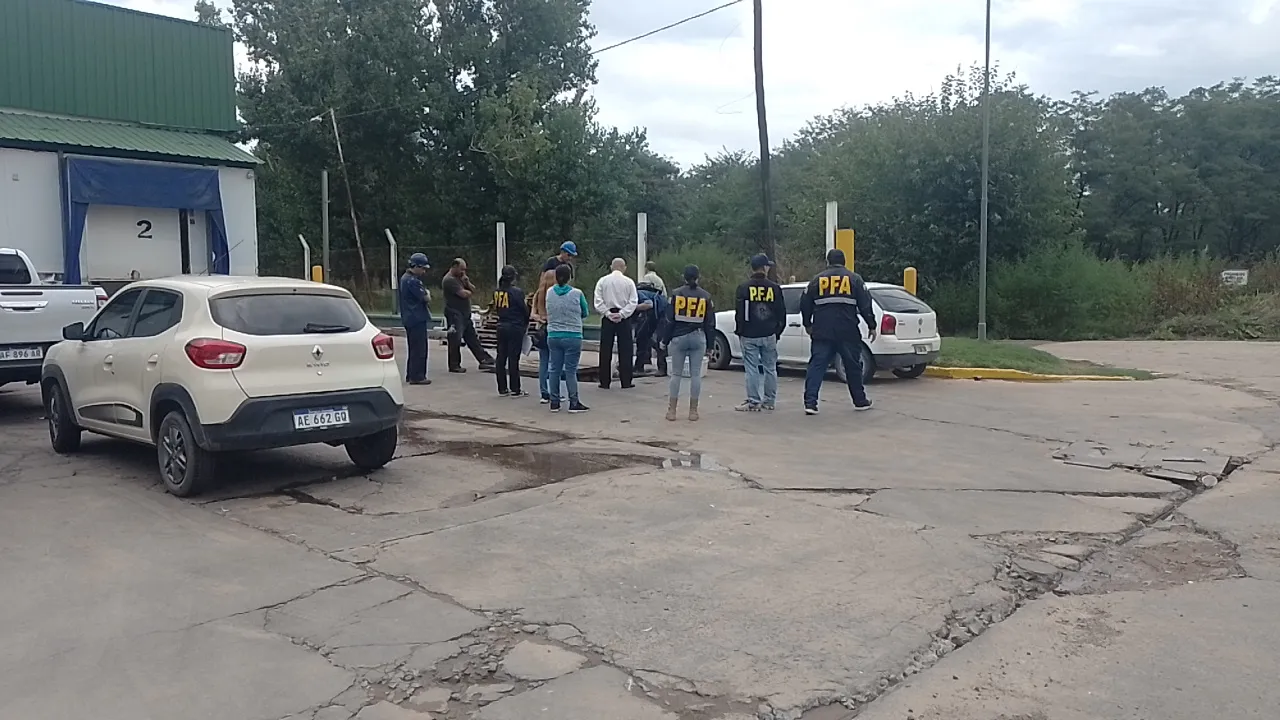 WhatsApp Image 2025-02-12 at 2.09.29 PM