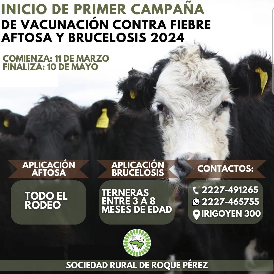 WhatsApp Image 2024-03-13 at 08.38.06