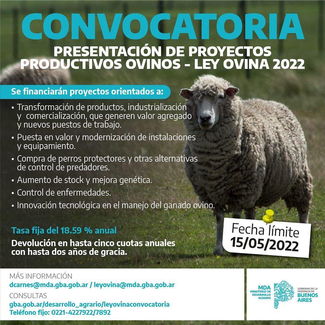 280098872_390724829750184_2070652276647718735_n