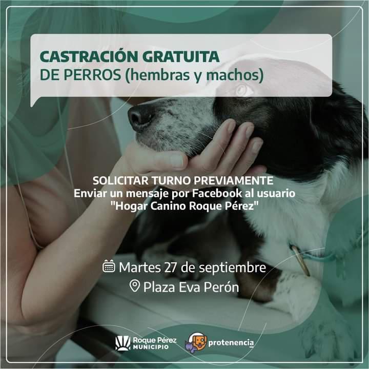 FB_IMG_1664216124689