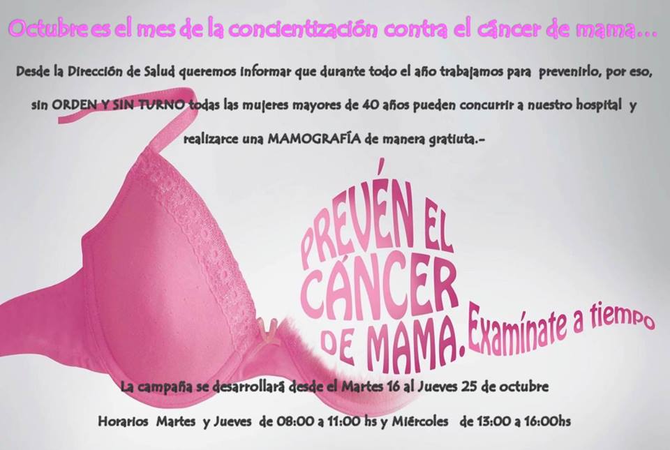 43503967_2118549231496845_7547403225893175296_n