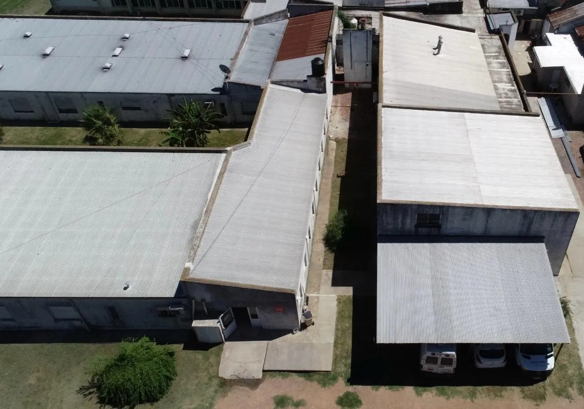 WhatsApp Image 2025-03-21 at 4.43.53 PM