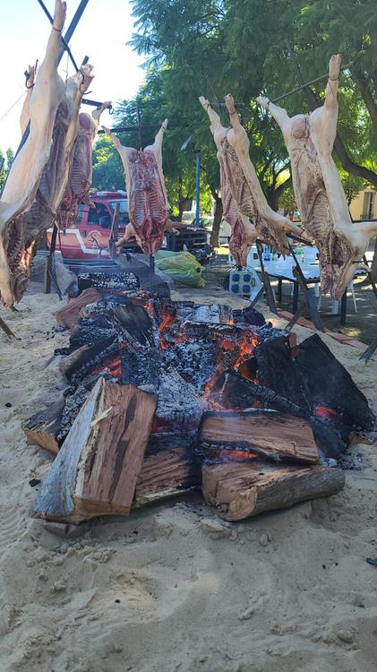 8f87fa47-2b2e-44b7-a279-447dd94f5002