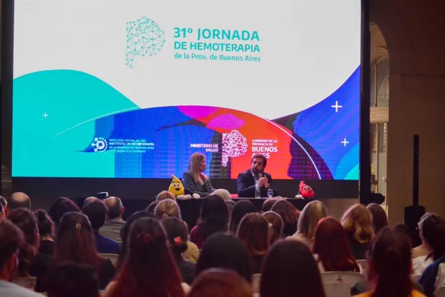 WhatsApp Image 2024-10-24 at 13.48.47 Grande 2