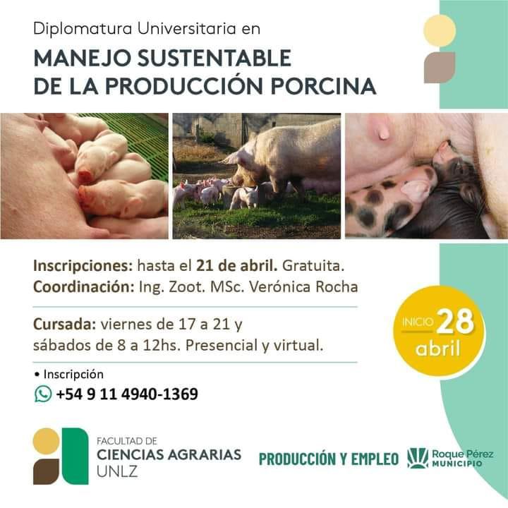 340903593_965771794592156_2724271114767551008_n