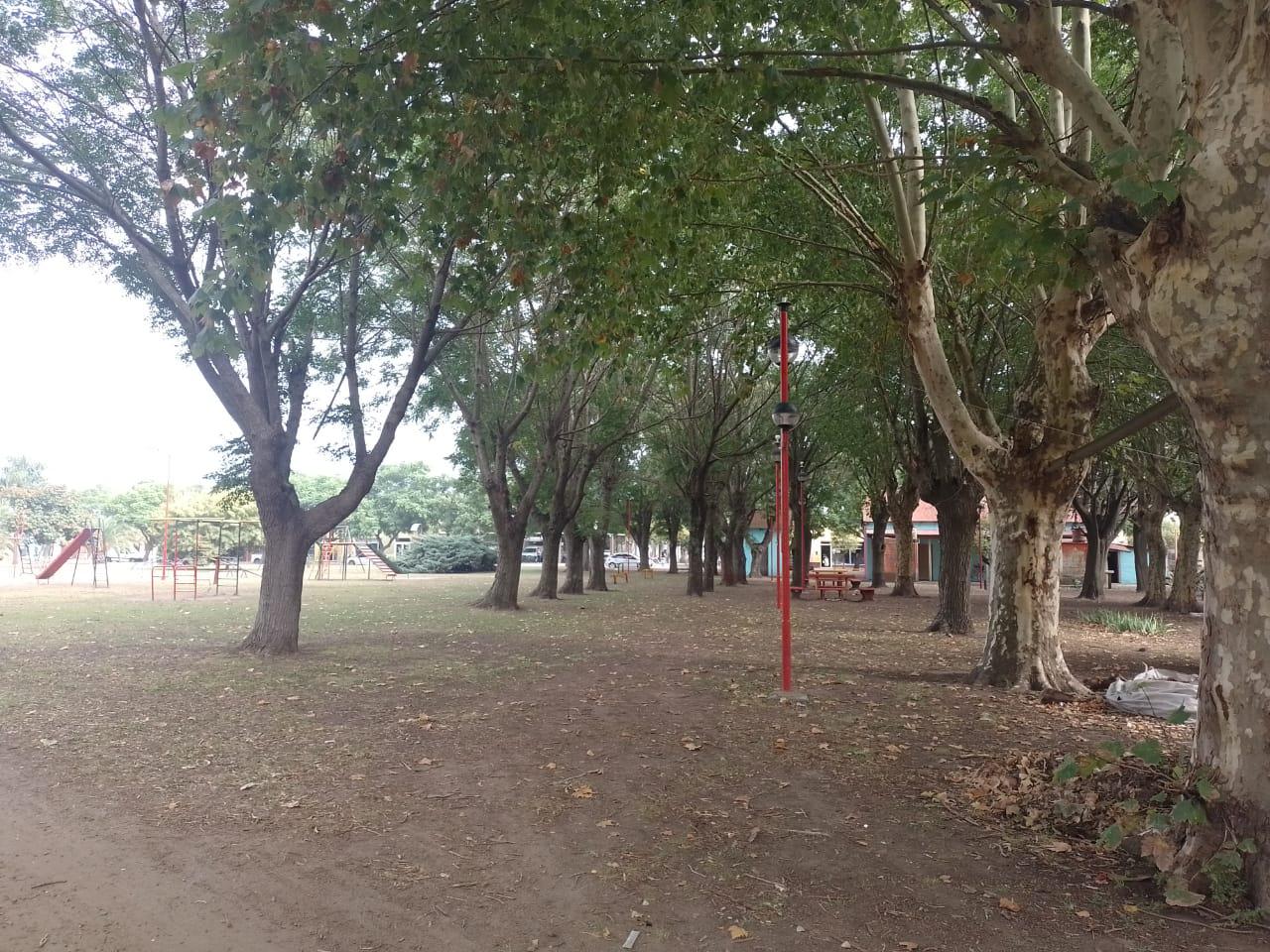 WhatsApp Image 2023-03-17 at 09.59.29