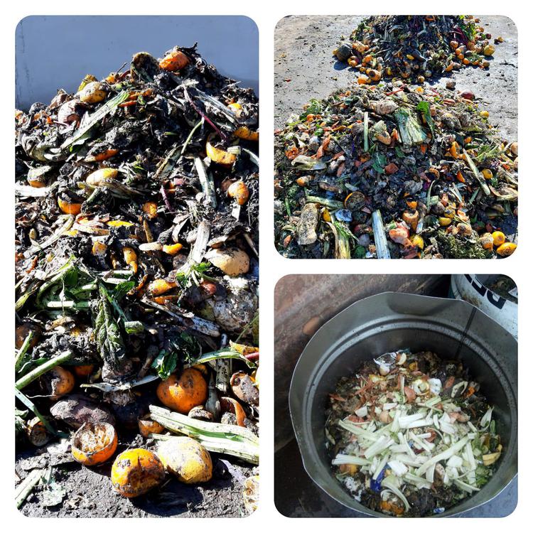 119121436_3567823516569402_1409784536269448185_o