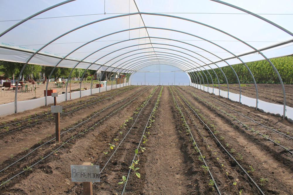 311602405_504225521733447_3296137620527812793_n