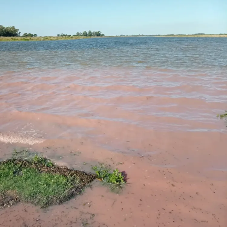 468295458_1092094709391145_8394901951717637827_n