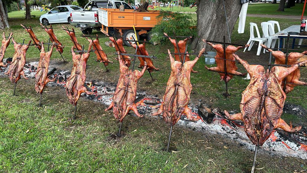 WhatsApp Image 2023-12-09 at 18.26.36