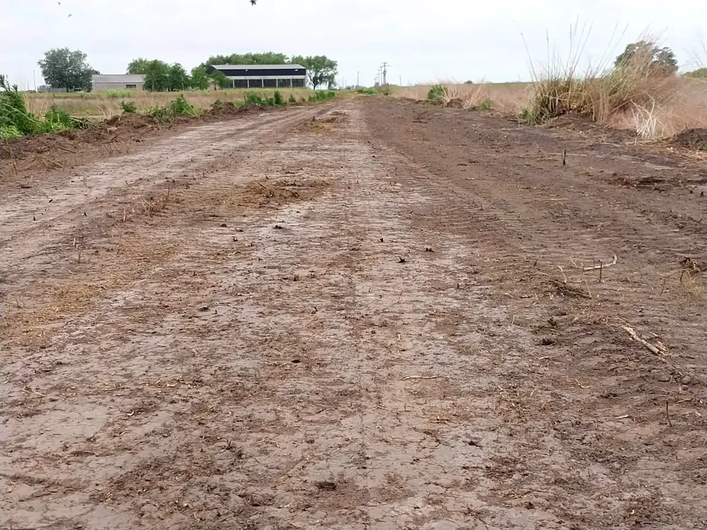 WhatsApp Image 2024-10-23 at 7.42.33 AM