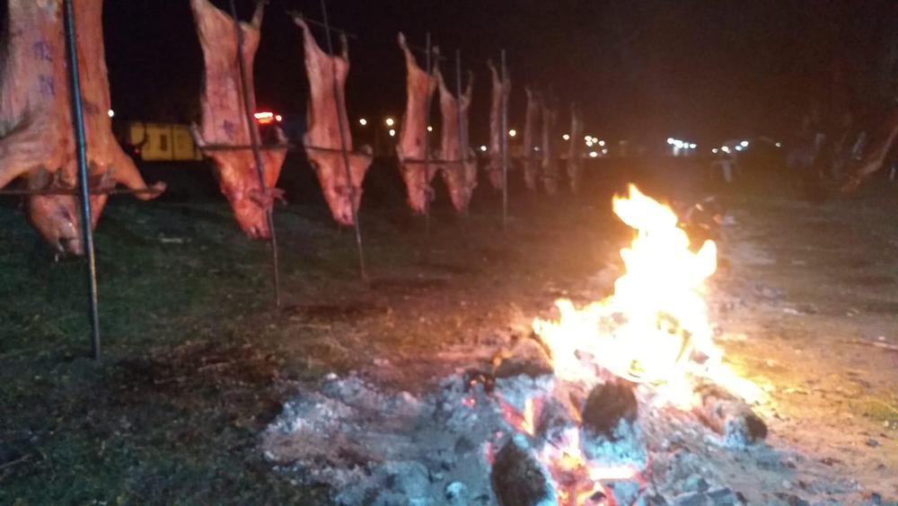 WhatsApp Image 2023-05-15 at 12.01.48