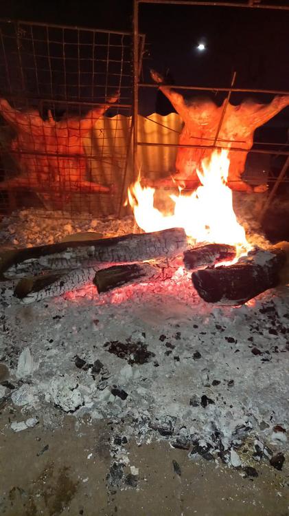 90dbcab3-11c5-481f-a01c-ae020adcab96