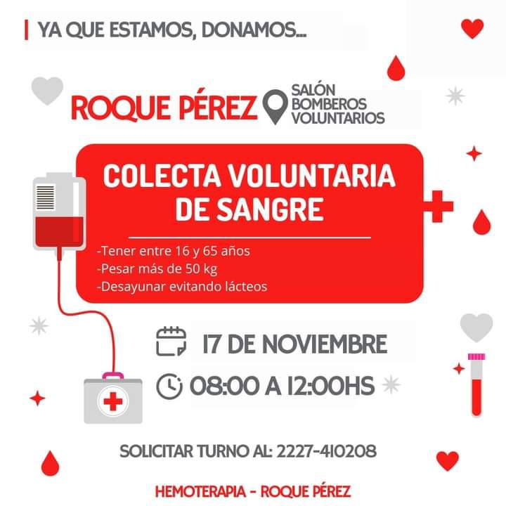 WhatsApp Image 2023-11-14 at 08.46.59