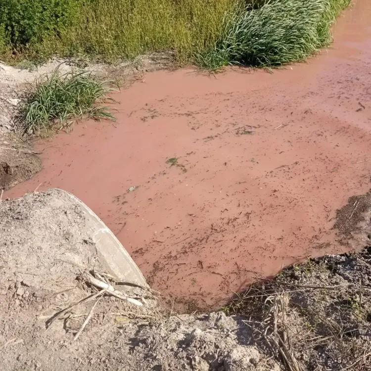 467641065_1092094712724478_5529397109850792909_n