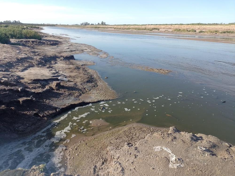 WhatsApp Image 2023-02-17 at 9.48.44 AM