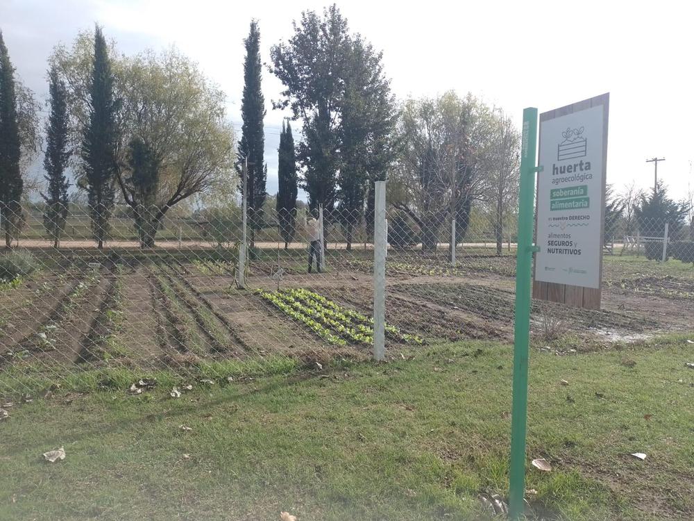 WhatsApp Image 2023-05-30 at 14.11.47