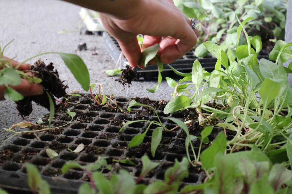 337296252_944932909969129_6190362186295024048_n