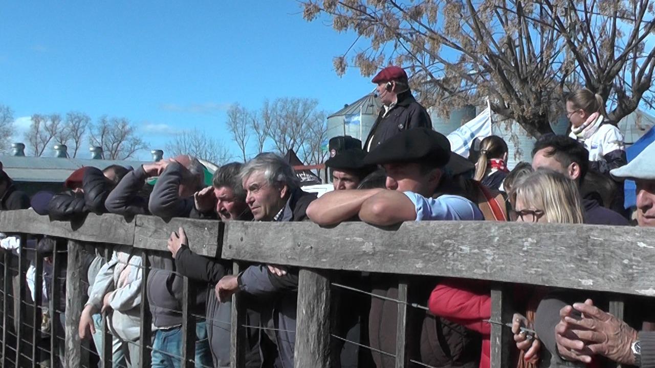 b3431ae9-cd81-468b-be56-bd77d9e969fc