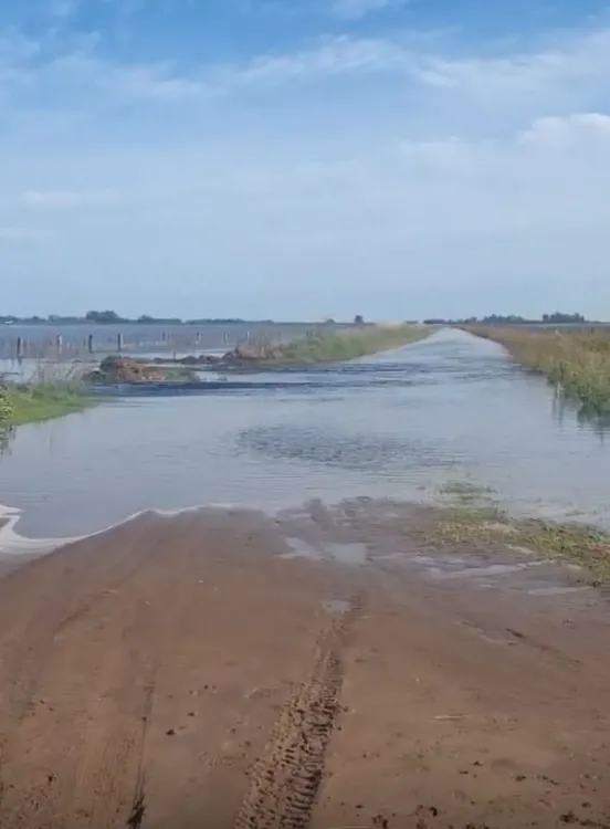 WhatsApp Image 2025-03-21 at 9.00.06 PM