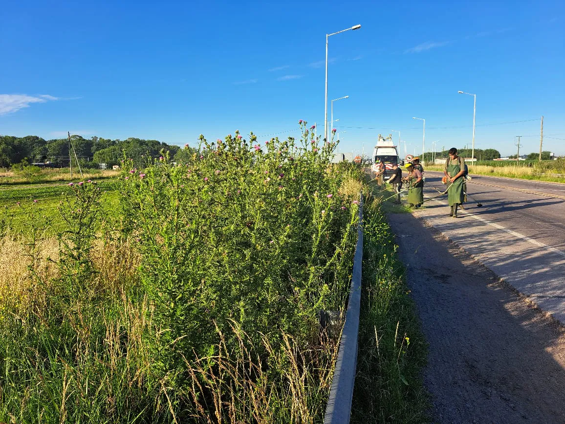 WhatsApp Image 2024-12-11 at 7.46.22 AM (2)